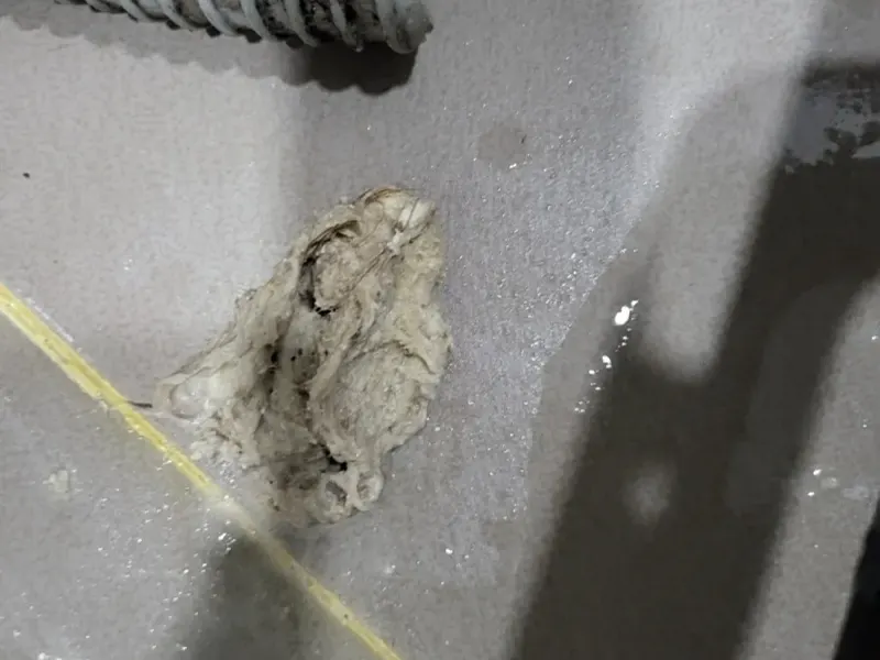 대전 동구 배관에서 빼낸 이물질 덩어리